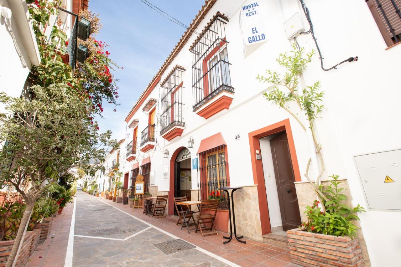 El Gallo Ostello Marbella